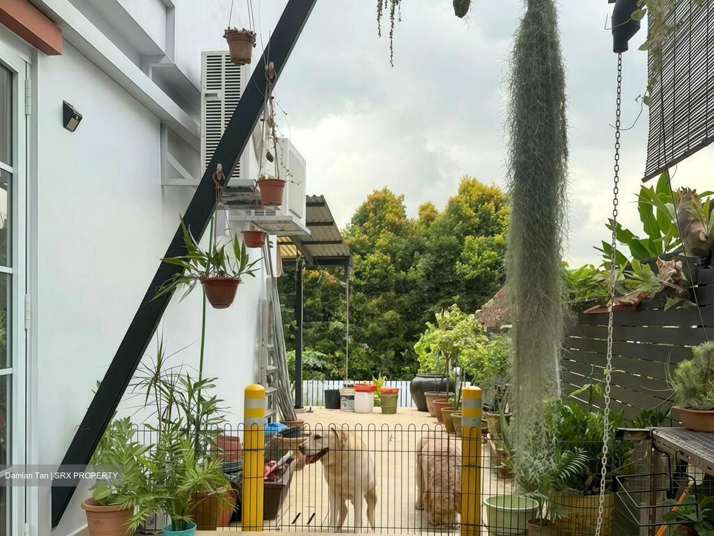 Shamrock Park (D10), Semi-Detached #496235441